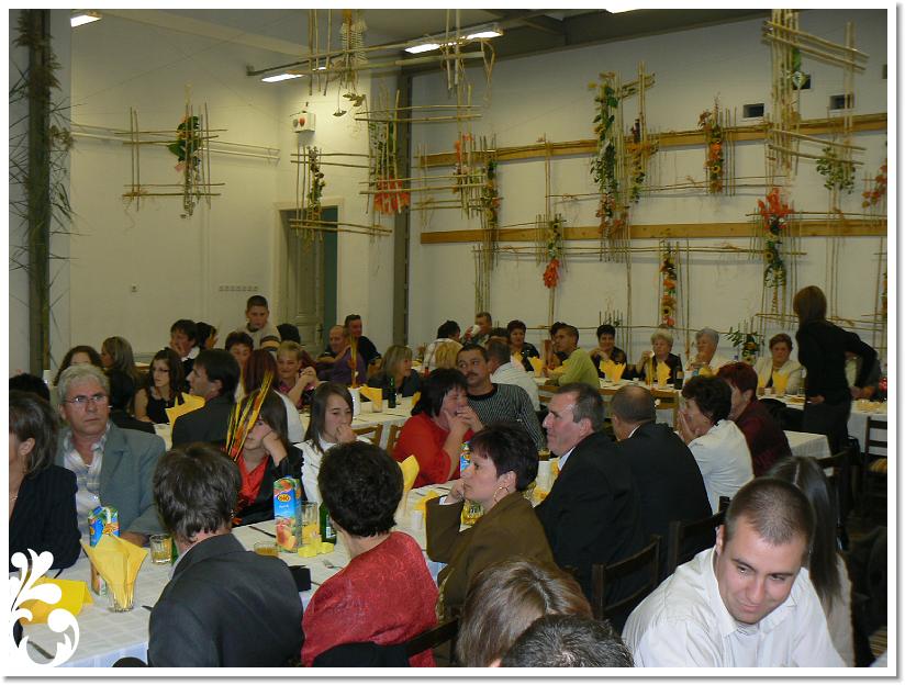 Szuret Felv es Bal_259